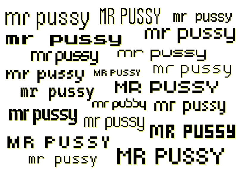 mr pussy text7
